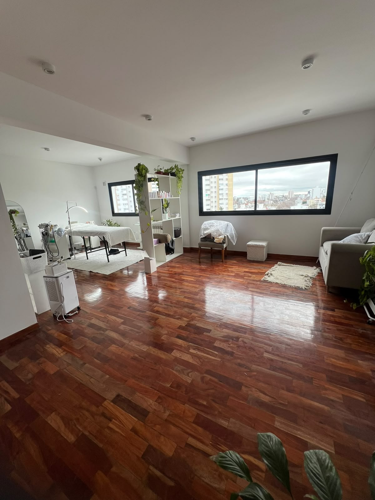 Cabina de Fler